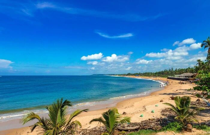 Sinquerim Beach