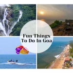 Fun Things to Do in Goa