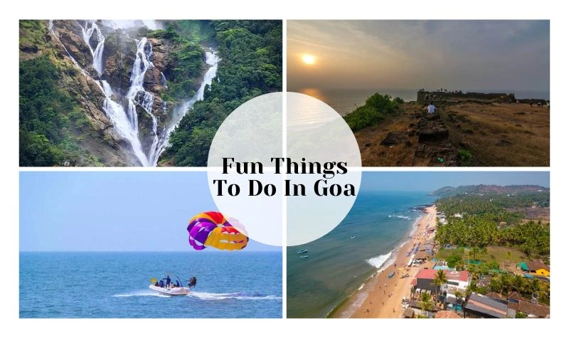 Fun Things to Do in Goa