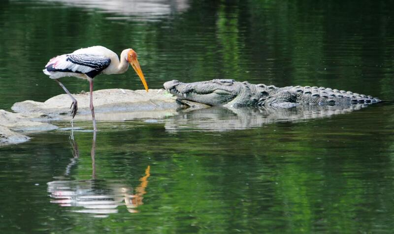 Salim Ali Bird Sanctuary