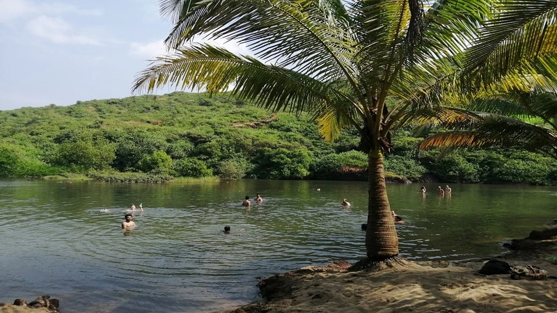 Arambol Sweet Water Lake